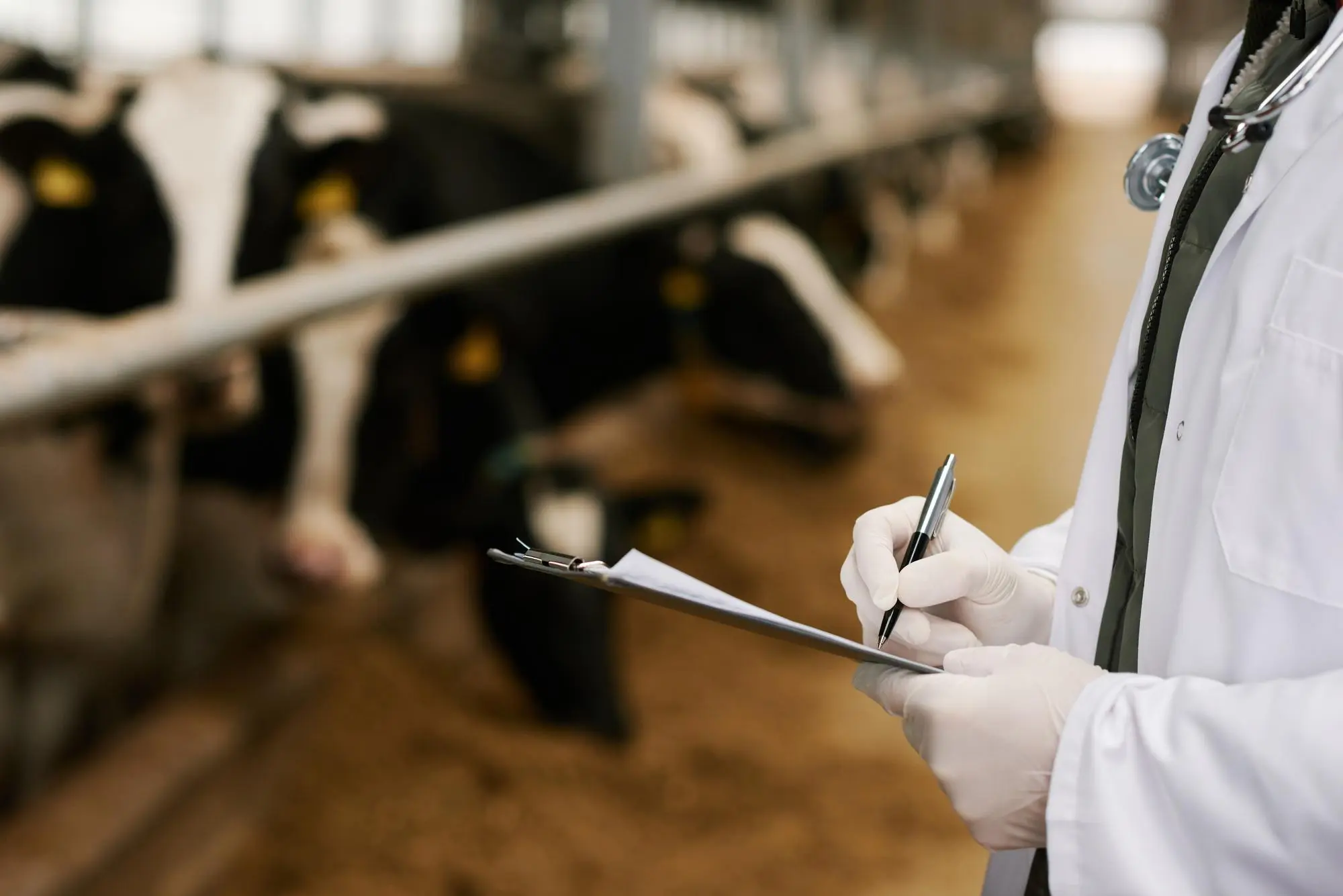 Veterinarian filling in paperwork during a livestock inspection
